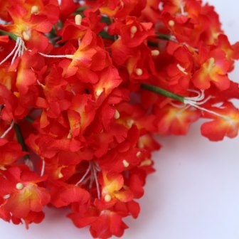 Анютині очі, колір червоного- помаранчевого