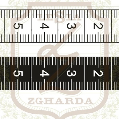 Набор акриловых штампов Lesia Zgharda RE072 Сантиметровые ленты, 2 шт