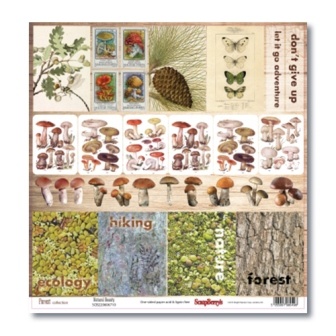 Набір паперу для скрапбукінгу від ScrapBerryʼs - В лісі, 30,5x30,5см, 190 г/м², 11 шт.