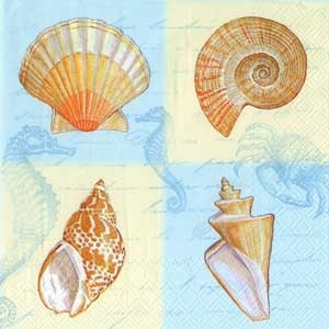 Серветка для декупажу "Морські мушлі", колір фону: білий/ блакитний, розмір: 33x33 см