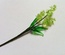Гілочка бузку, колір салатовий, 12см