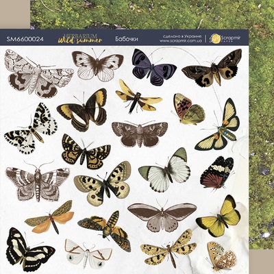 Аркуш двосторонній папір 20x20см Метелики Herbarium Wild summer від Scrapmir