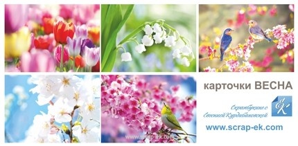 Картки на щільному картоні від Євгенія Курдібановська ТМ - "Весна", 5x7 см, 10 штук