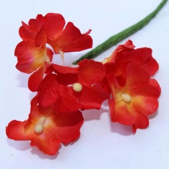 Анютині очі, колір червоного- помаранчевого