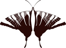 Акриловый штамп Butterfly 7 Бабочка, размер 5.4 * 3.9 см