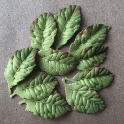 Листочки з фоамірану, зелений колір, 10 шт.