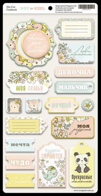 Чипборд для скрапбукінгу від Scrapmir - Boy or Girl RU, 18шт. 