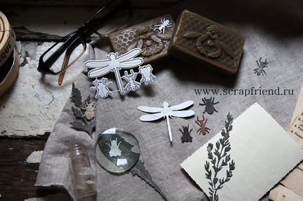 Набір ножів для вирубки від Scrapfriend - Комахи, 4 штуки