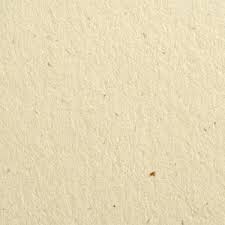 Дизайнерський папір Flora avorio, розмір: 30x30, колір: слонова кістка, 100 г/м², 1 шт