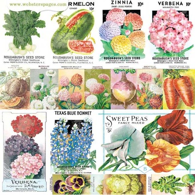 Аркуш скрап-паперу Webster's Pages - Grow With Me, двосторонній 30x30 см