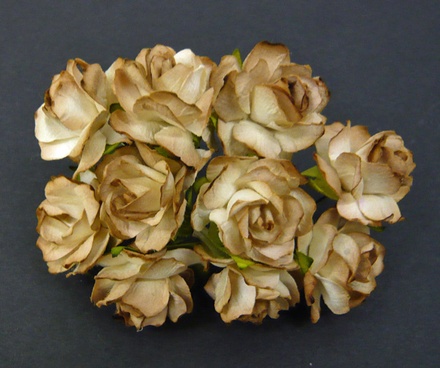 Дикая роза 2-tone Brown, 30 мм, 1 шт.