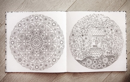 Книга-раскраска (антистресс, раскраска для взрослых) "Чарівний сад" ("Таинственный сад"). Джоанна Басфорд. Арт.000 87106