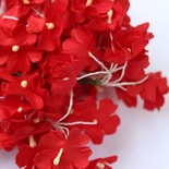 Анютина ока, колір червоний