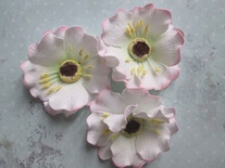 Дикий мак з фоамірану, діаметр 5см, білий з рожевим, 1 шт.