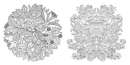 Книга-раскраска (антистресс, раскраска для взрослых) "Чарівний сад" ("Таинственный сад"). Джоанна Басфорд. Арт.000 87106