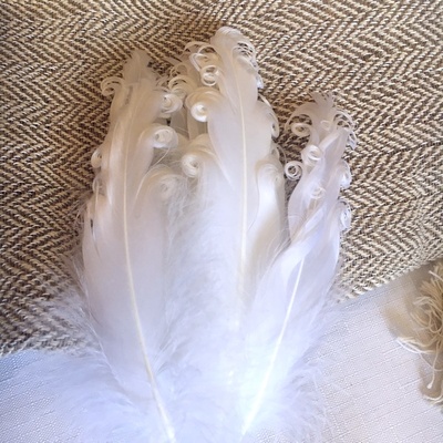 Перо белое гофре, 1 штука