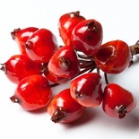 Набор ШИПОВНИК от Scrapberry's, 15 мм, 12 шт