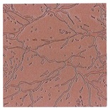 Пластина для тиснения от Spellbinders -  Crackle