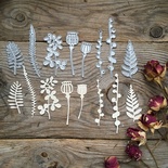 Нож для вырубки от MiMiCut - Гербарий II, 28*51, 19*39, 11*56, 12*42, 21*52мм