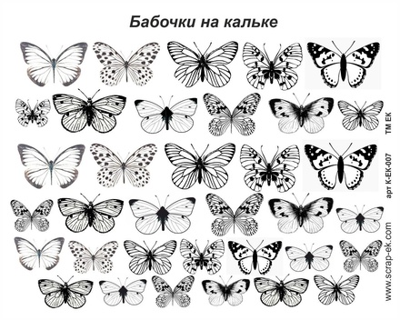 Картинки на кальке от Евгения Курдибановская ТМ - Бабочки, А5