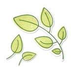 Нож для вырубки  и штамп от Sizzix - Framelits Die Set 6PK w/Stamps - Leaves - Листья, 6 шт, арт SX657917