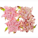 Гардении, набор 4шт., диаметр 7см, розовые и бело-розовые