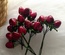 Земляника, цвет-бордово-розовый, пучок из 6 штук