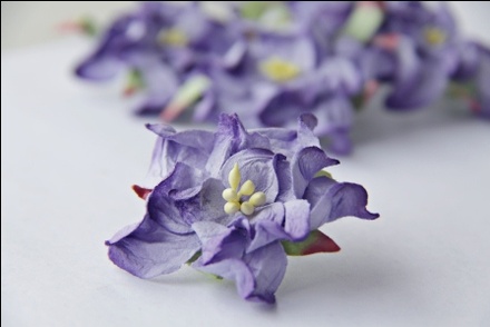 Горденія, діаметр 5см, колір фіолетовий, 1 шт.