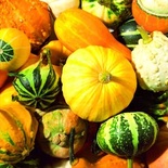 Серветка для декупажу "Осінній урожай", розмір: 33x33 см