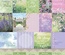 Набор бумаги для скрапбукинга от ScrapBerry's - Цветущий Сад, ENG, 12 листов, 30,5х30,5 см, 190 гр/м, односторняя
