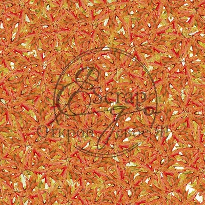 Лист скрапбумаги от ScrapEgo - Тыквенное настроение  #6, 30,5х30,5см