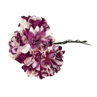 Айстри, колір фіолетовий/білий, 9 см, букетик, 6шт.