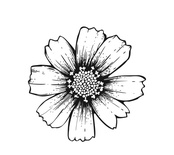 Акриловый штамп FL031 Цветок, размер 3,6 * 3,5 см