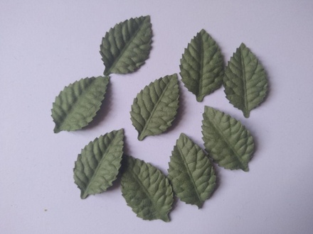 Листики, цвет зеленый, 40х25мм, 10 шт.