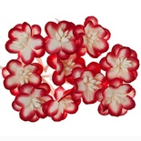 Цветы вишни из шелковичной бумаги, набор 10 шт., цвет красный с белым