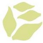 Фігурний дірокол McGill - Star Lily