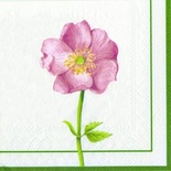 Серветка для декупажу "Первоцвіт", розмір: 33х33см