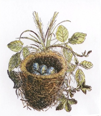 Акриловый штамп La Blanche - Nest with Eggs Stamp