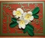 Ніж для вирубки Frangipani with Leaves від Cheery Lynn Designs