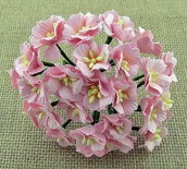 Цветы яблони от Thailand, розовый, 20 - 25 мм, 5 шт