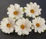 Белые ромашки, 5 шт.