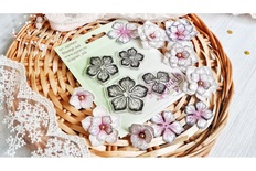 Набір штампів "Яблуневий цвіт" від AgiArt