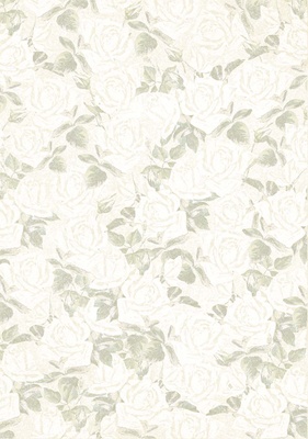 Двусторонний лист бумаги от Galeria Papieru - Little Women МК4, 10х14.5см