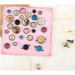 Брадсы Prima - Debutante, 30 штук