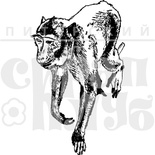 Акриловый штамп "Обезьянка идущая"