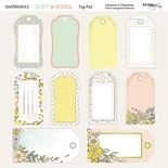 Аркуш двостороннього паперу для скрапбукінгу від Scrapmir - Tag-Pad - Boy or Girl, 20x20см