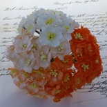 Набор цветов вишни (оранжевые и белые оттенки), 25мм, 50 шт.