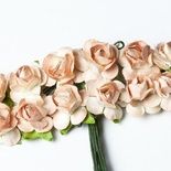 Набор розочек от Scrapberry's, светло-КОРИЧНЕВЫЕ, 25 мм, 8 шт