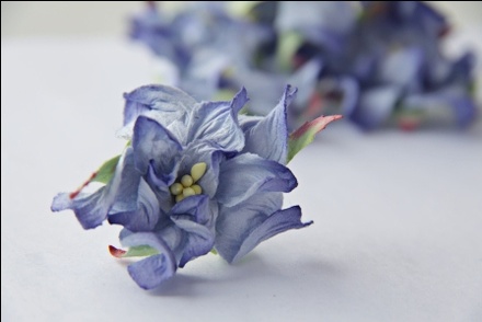 Гардения, диаметр 5 см, цвет лазурит, 1 шт.