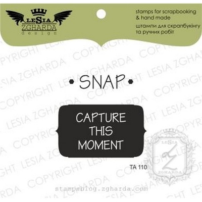 Набір акрилових штампів Lesia Zgharda TA110 Snap capture this moment
